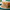 Food Packaging Bag