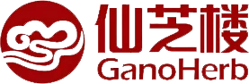 Partner Logo 7