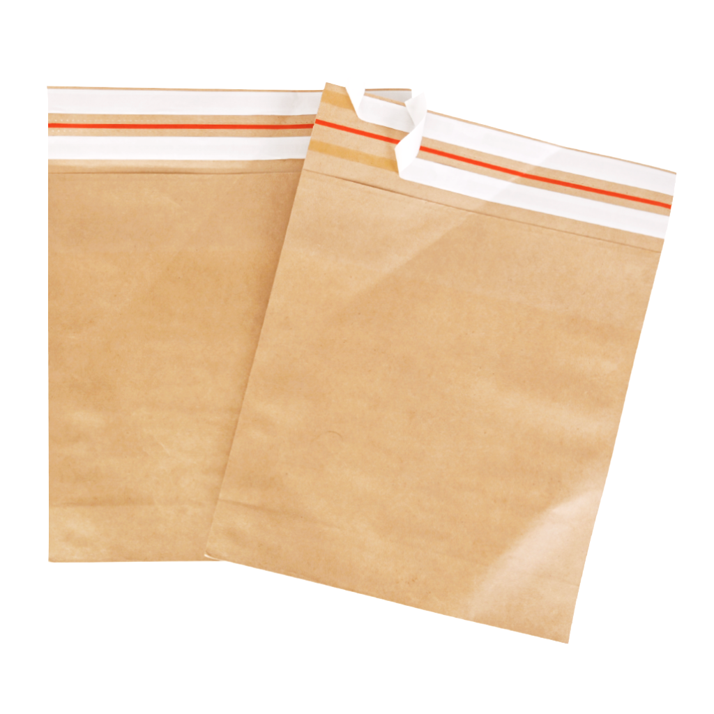 Heavy-Duty Kraft Paper Shipping Mailer - Custom Logo Printing | Ruisheng Packaging